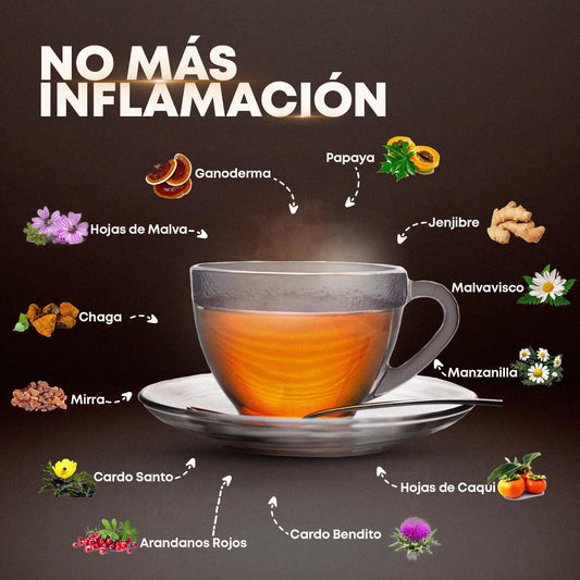 La Importancia de la Desintoxicación del Colon - NutriGano.com