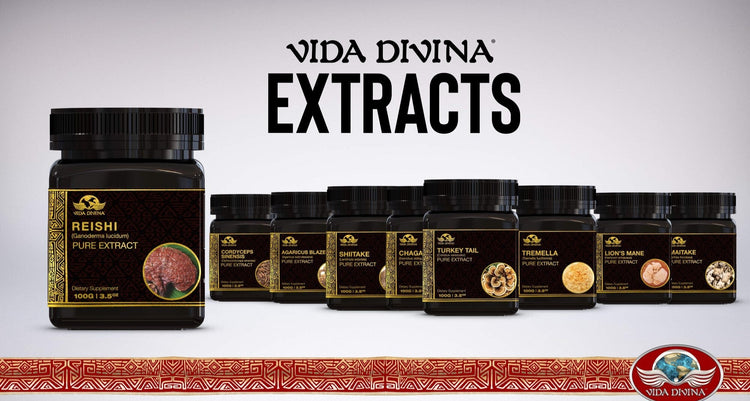 Vida Divina Extracts