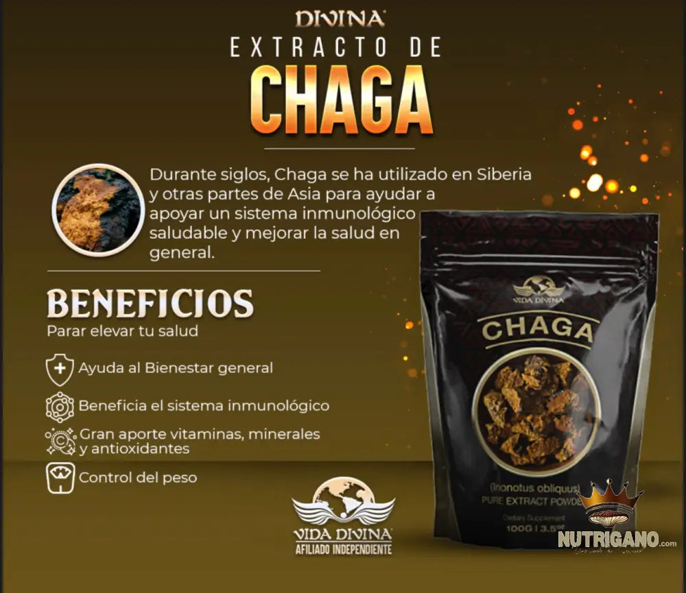 Extracto de Chaga