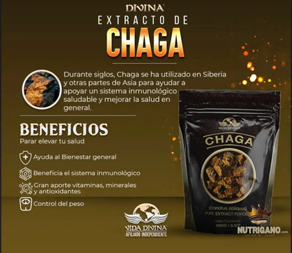 Chaga Pure Extract | Vida Divina | Vida Divina