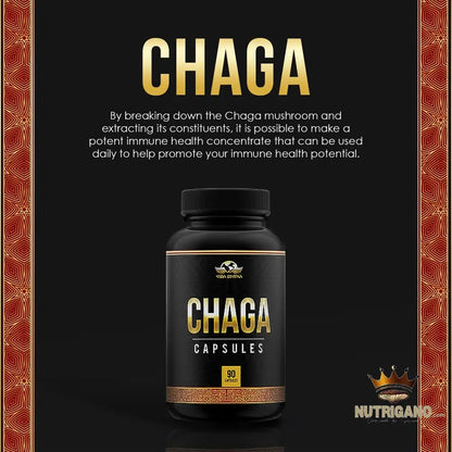 Vida Divina Chaga