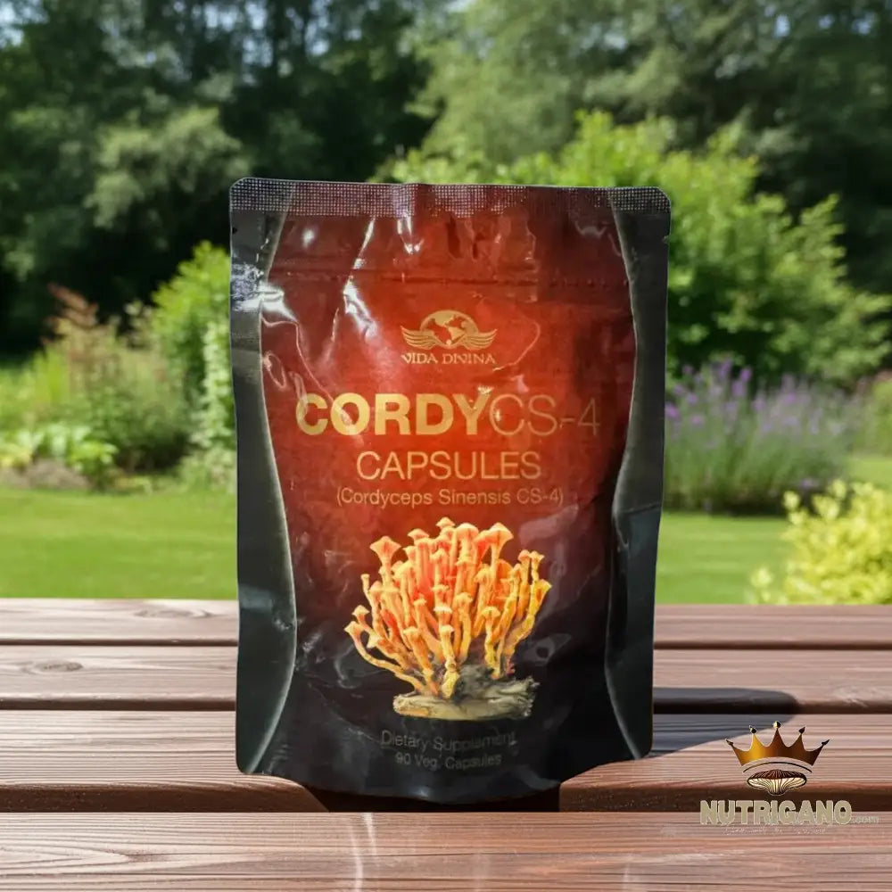 Cordy CS 4 Supplement