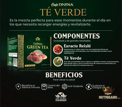 Green Tea with Reishi | Vida Divina | Vida Divina