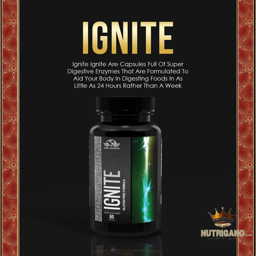 Vida Divina Ignite Digestive Enzymes