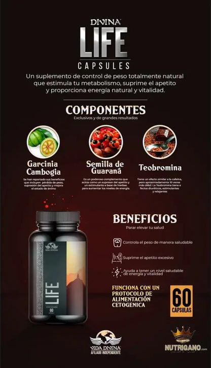 Life Capsules | Daily Supplement for Energy, Immunity & Vitality | Vida Divina | Vida Divina