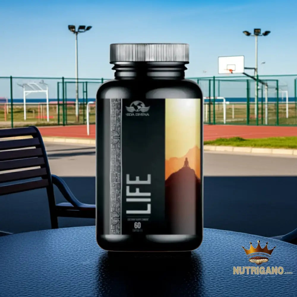 Life Supplement