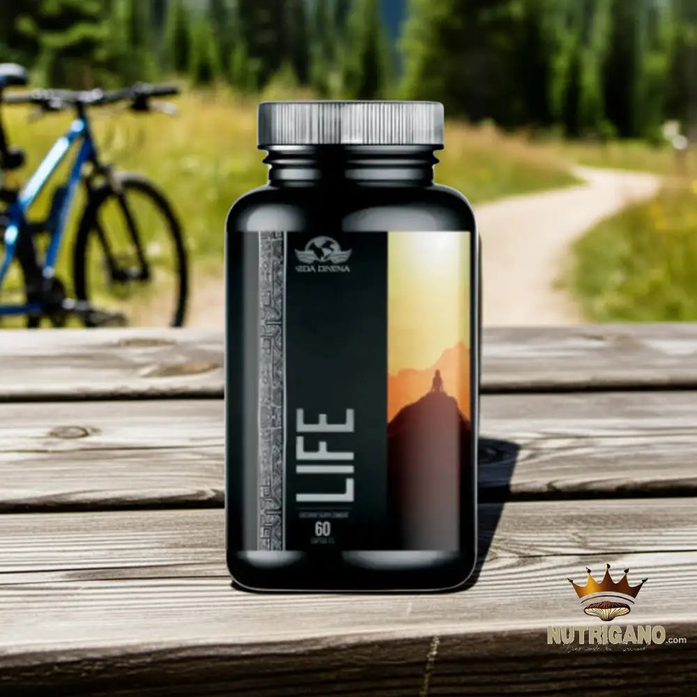 Life Supplement