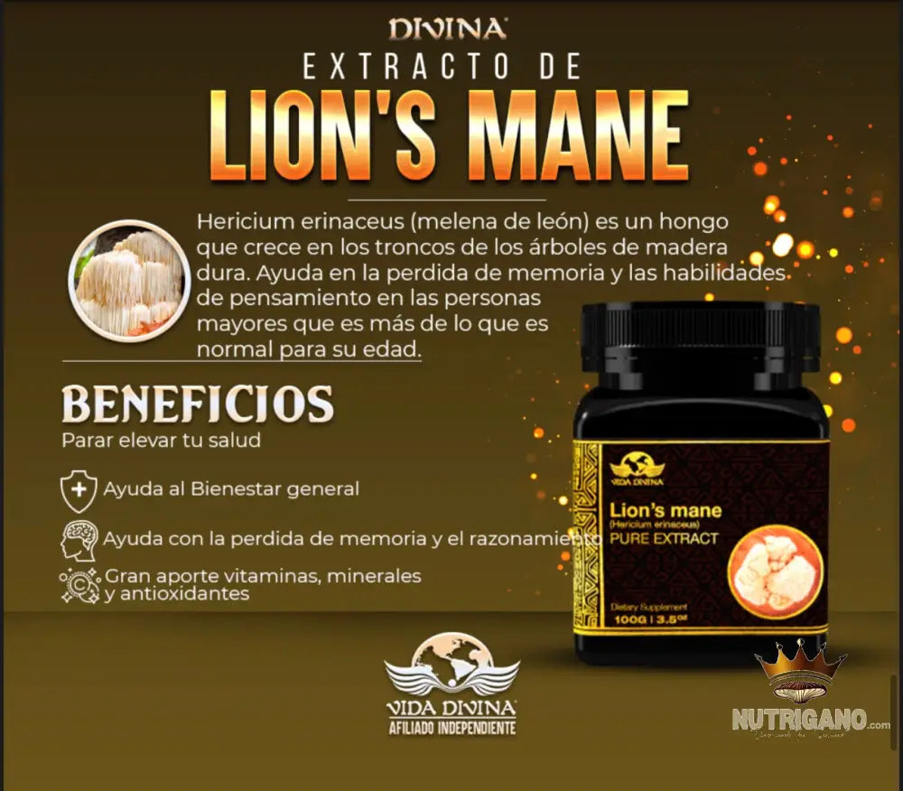 Extracto de Lions Mane