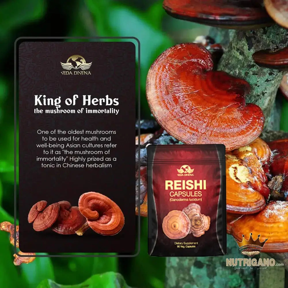Reishi Capsules Supplement
