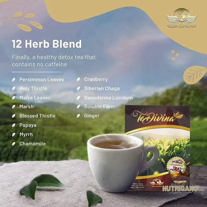 Te Divina Life Time Reishi Ignite Pack | Vida Divina | Vida Divina