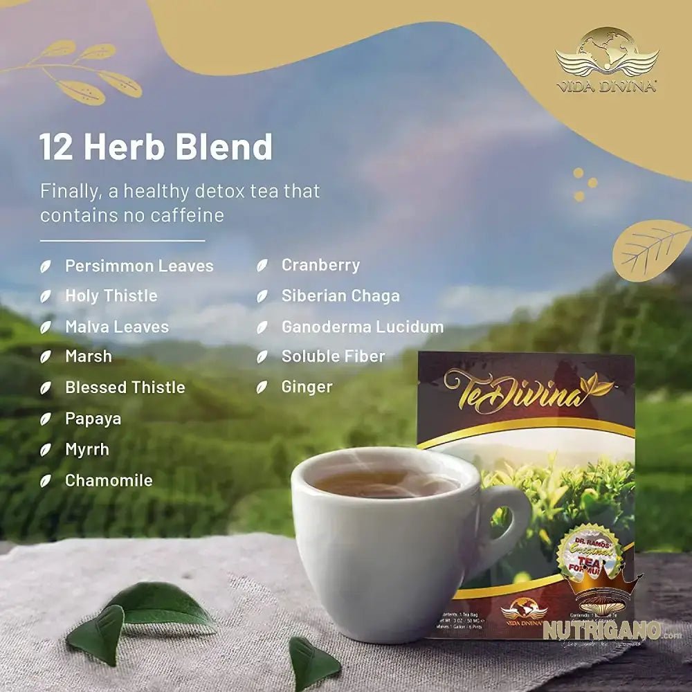 Te Divina Ouch Reishi Pack | Vida Divina | Vida Divina