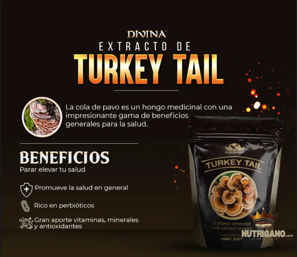 Extracto de Turkey Tail