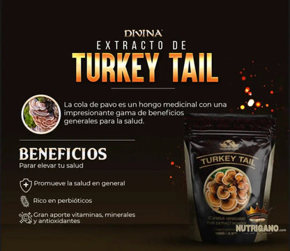 Turkey Tail Pure Extract | Vida Divina | Vida Divina