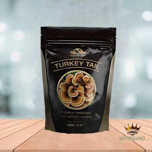 Turkey Tail Pure Extract | Vida Divina | Vida Divina