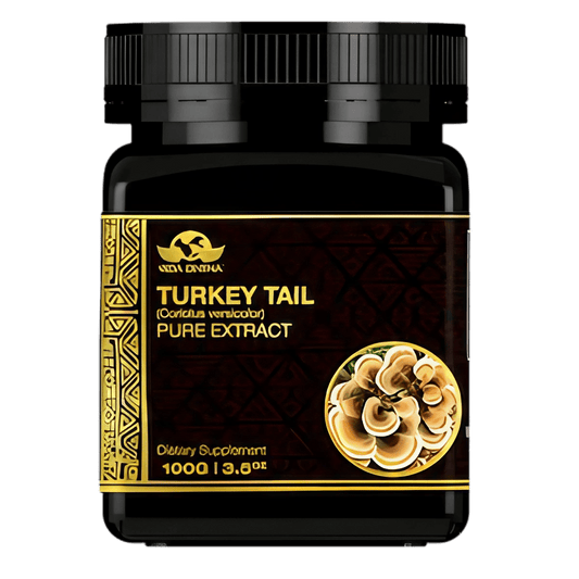 Vida Divina Turkey Tail Pure Extract - NutriGano.com