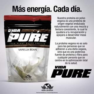 Vida Divina Vida Pure Vanilla Bean Plant Based Protein - NutriGano.com