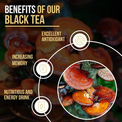 Vida Divina Black Tea - NutriGano.com