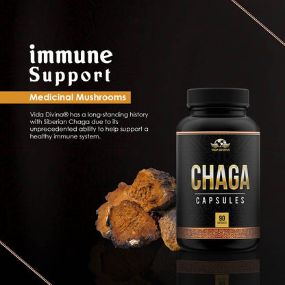 Vida Divina Chaga - NutriGano.com