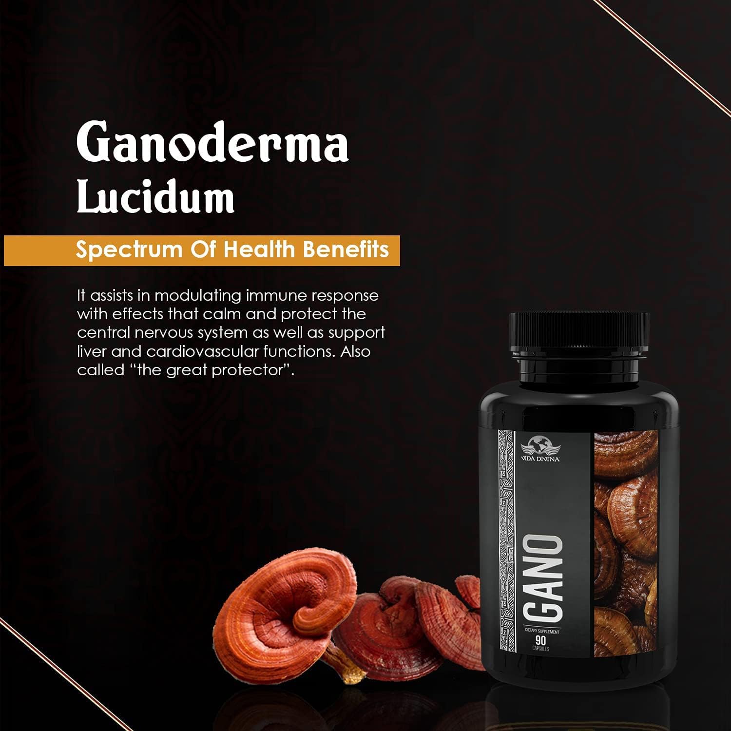 Vida Divina Gano - NutriGano.com