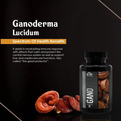 Vida Divina Gano - NutriGano.com