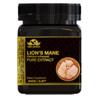 Vida Divina Lion's Mane Pure Extract - NutriGano.com